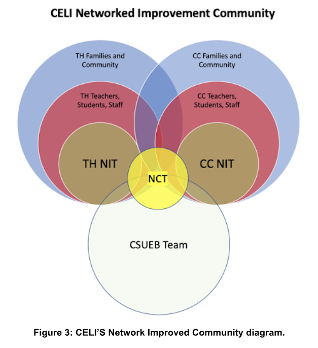 CELI NIC diagram.