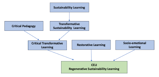 regenerative-sustainability-learning.png