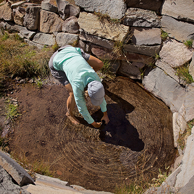 Circle of dirt.