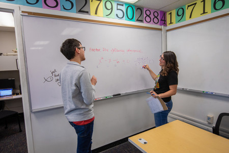 Students teaching