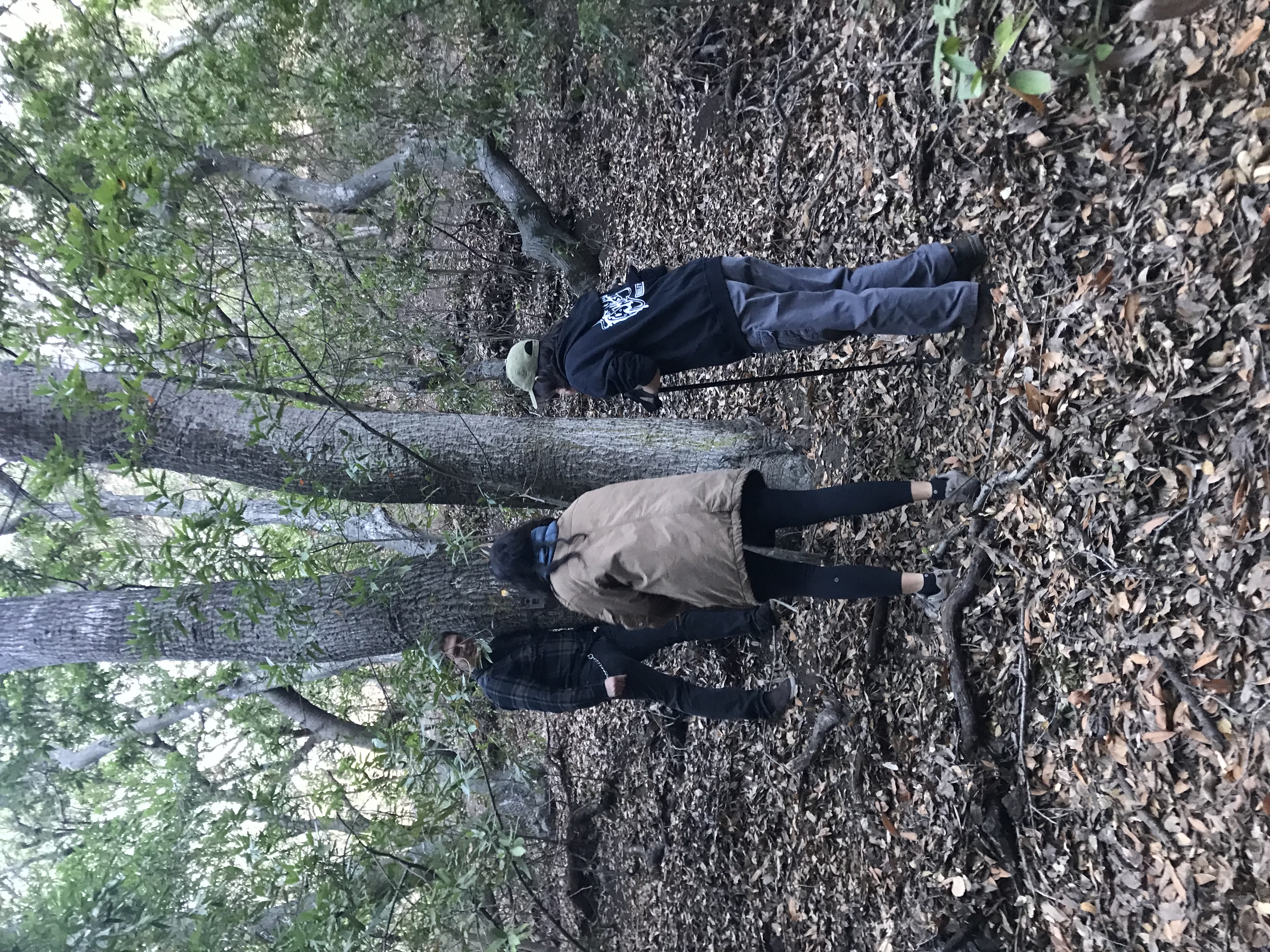 Students in woods putting up a camera trap