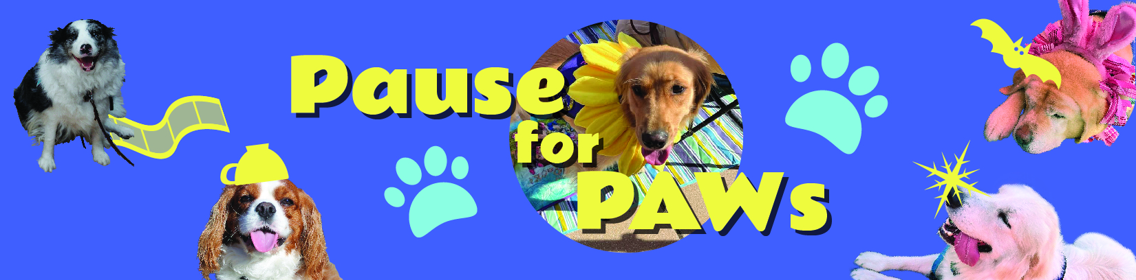 Pause for PAWS