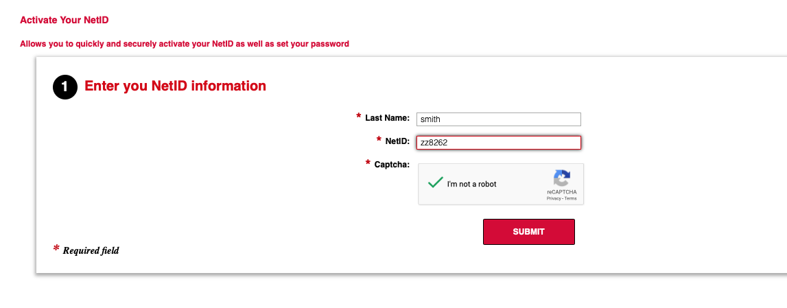 enter-your-netid-information