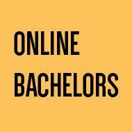 Online Bachelors