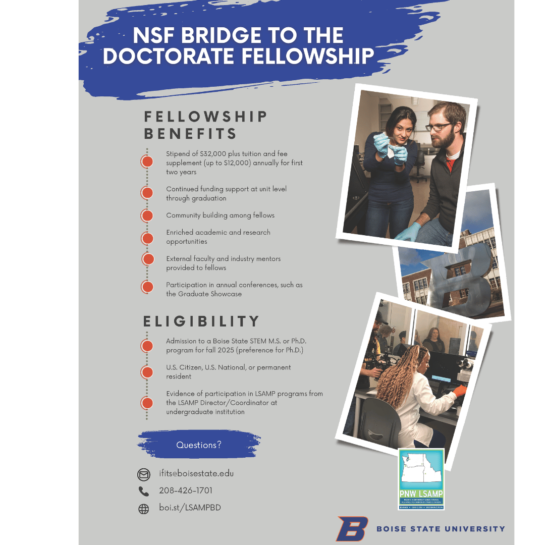 2025-Bridge to Doctorate - Boise Idaho