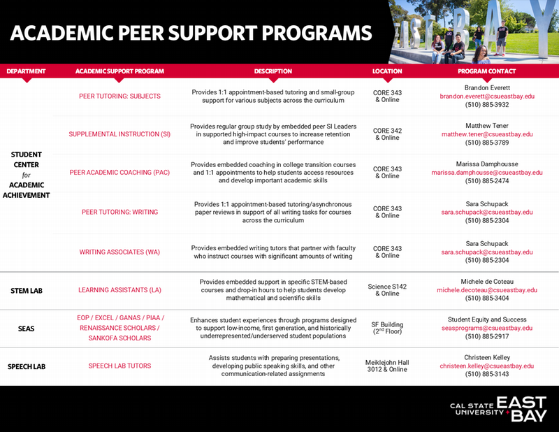 Academic Peer Support Programs Flyer